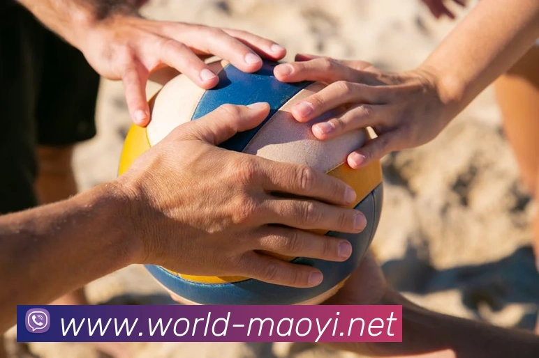 App Interface Preview